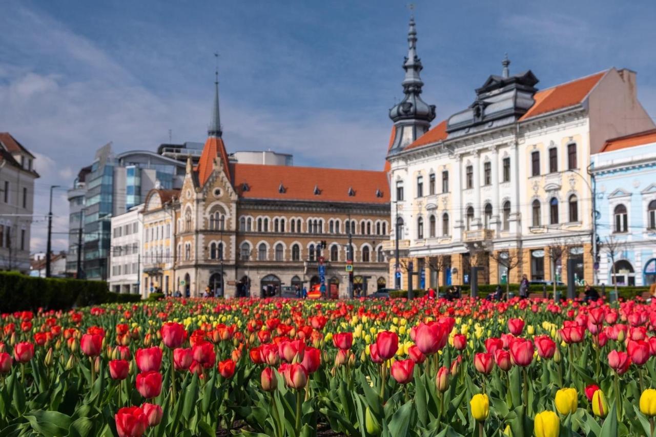 Pretty Luxury Apartament'S Cluj-Napoca Luaran gambar